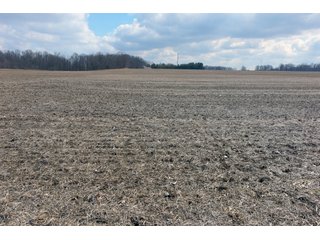 TRACT 11 - MAJOR LAND AUCTION - 719+/- ACRES OFFERED IN 14 TRACTS IN ALLEN COUNTY, OHIO